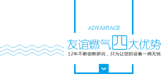 友誼燃?xì)馑拇髢?yōu)勢